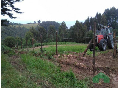 Terreno, QUINTES (GIJON)