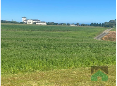 Finca edificable, NAVIA PUEBLO ( COAÑA)