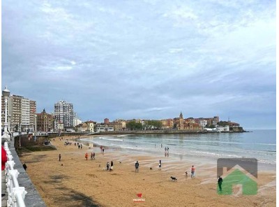 Piso, ARENA (GIJON)